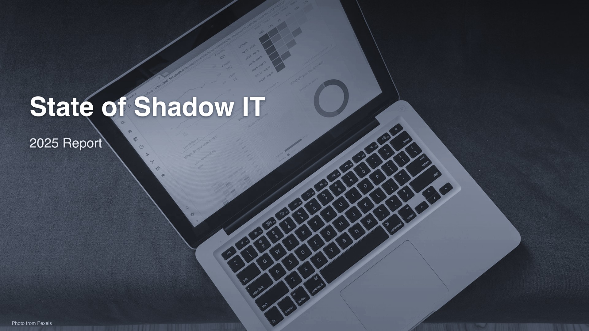 State of Shadow IT 2025 dashboard visualization
